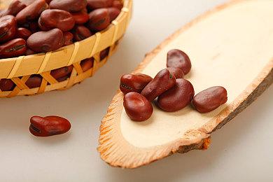 任天堂Switch Online服务在2024年新增游戏数量超过往年